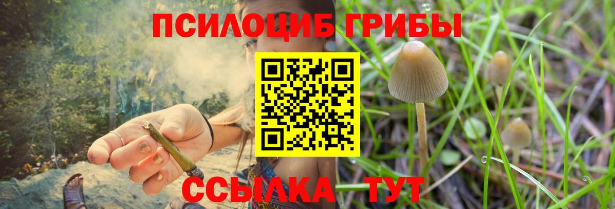 Долгопрудный  Галлюциногенные грибы мухоморы  Псилоцибиновые грибы ЛСД  Вход с VPN 